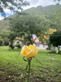 Tonos cálidos en Invierno